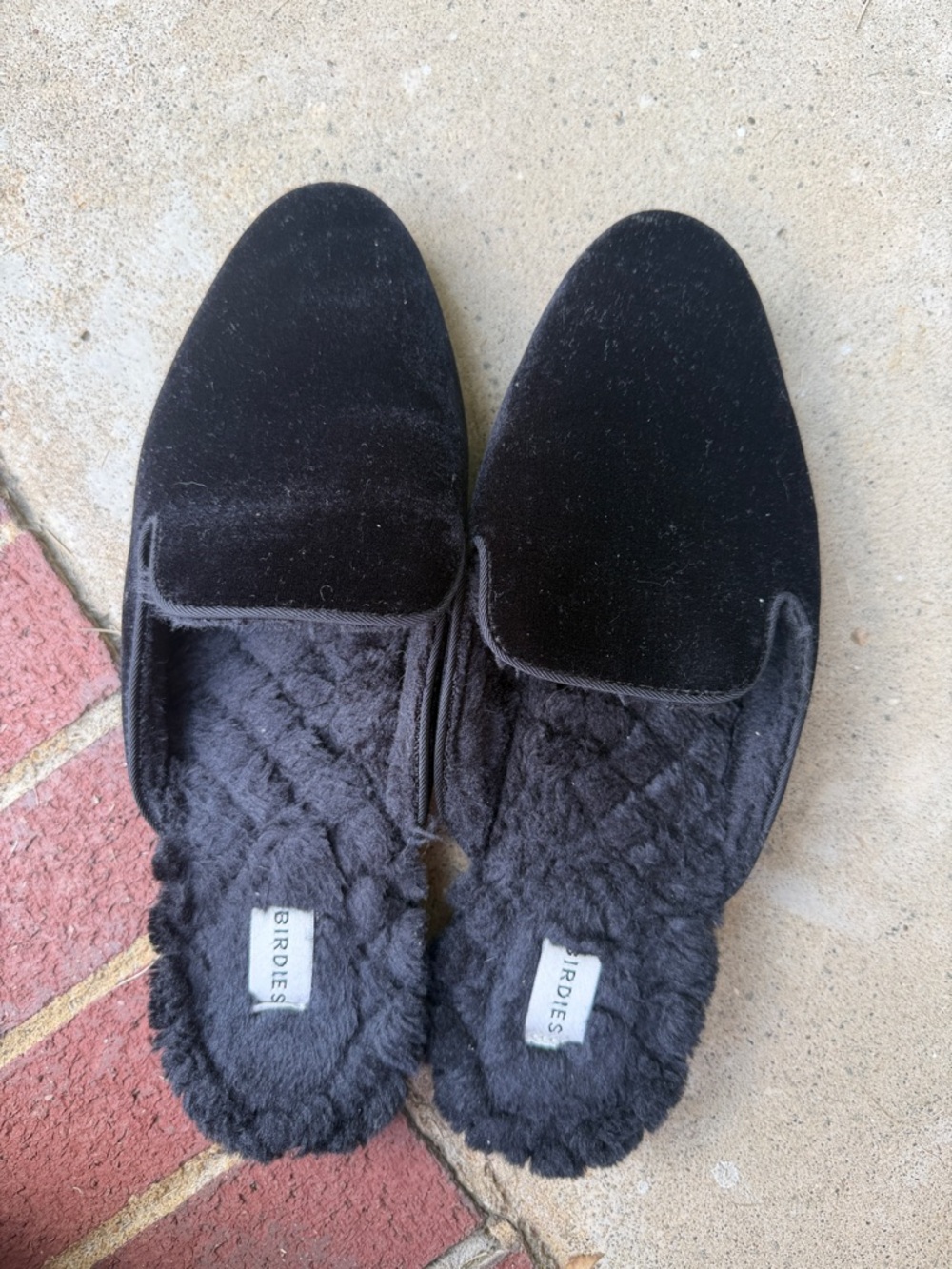 Birdies Black Velvet Slip-On Flats with Plush Lining